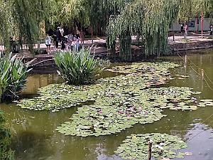Kunming - Parc Cuihu - 44